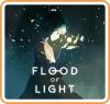Flood Light Box Art Front